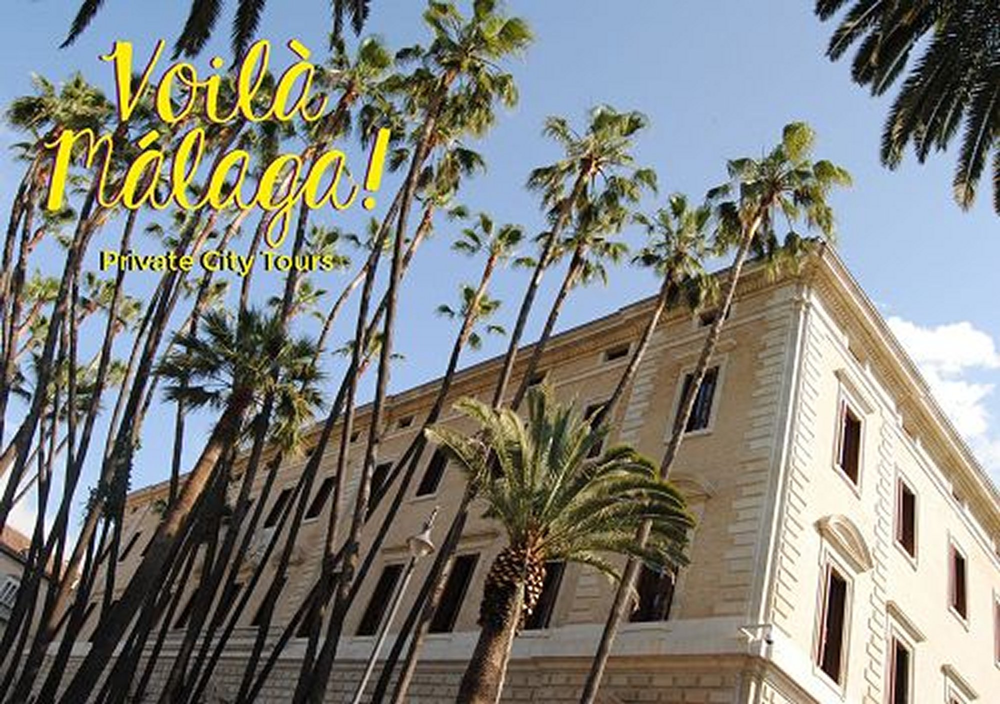 réservations réserver visites guidées tours billets visiter Tour Culturel Le Grand Tour à Málaga